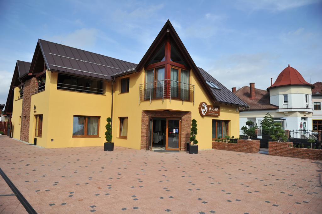 Penzion Anesis - Studia Турчьянске-Теплице Экстерьер фото